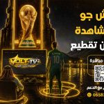 ما الفرق بين اشتراك سمارترز واشتراك هولك واشتراك فالكون؟ وأيهما الأفضل في 2026